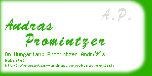 andras promintzer business card